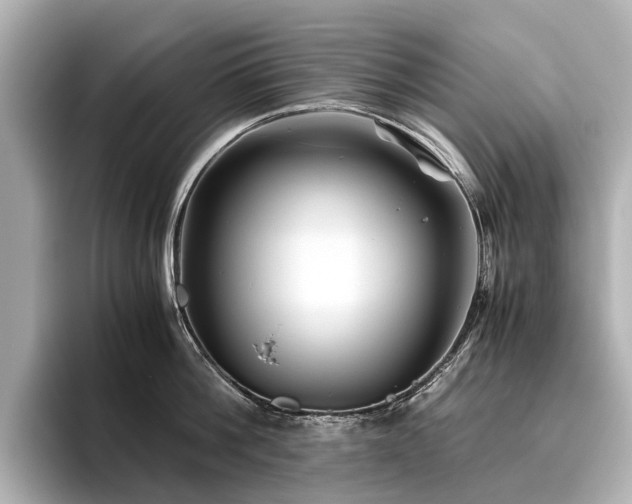 X0000096440812200801241357