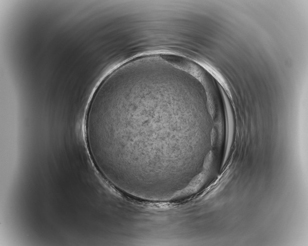 X0000096440813200801241357