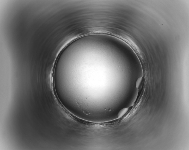 X0000096440814200801241357