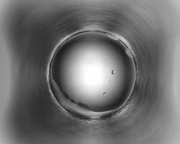 X0000096440815200801241357