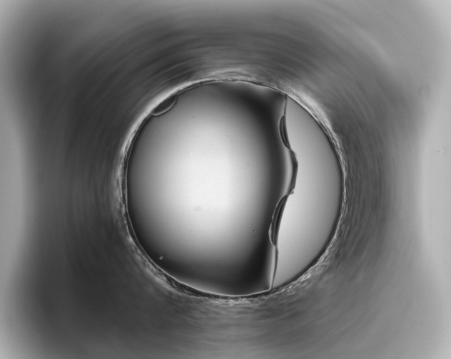 X0000096440816200801241357