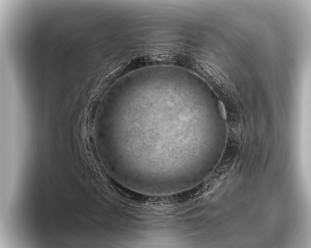 X0000096440817200801241356