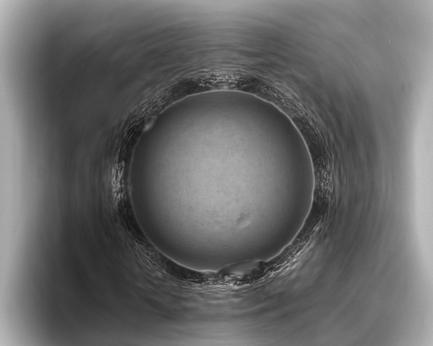 X0000096440818200801241357