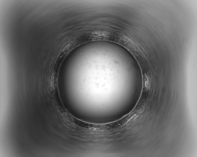 X0000096440819200801241357