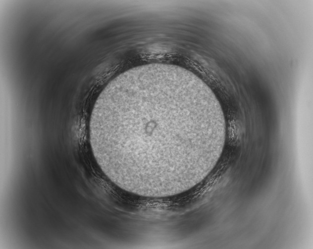 X0000096440820200801241357