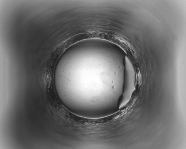 X0000096440821200801241357
