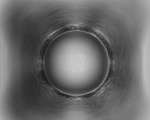 X0000096440822200801241357