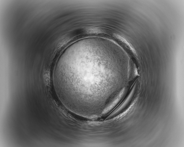 X0000096440825200801241357
