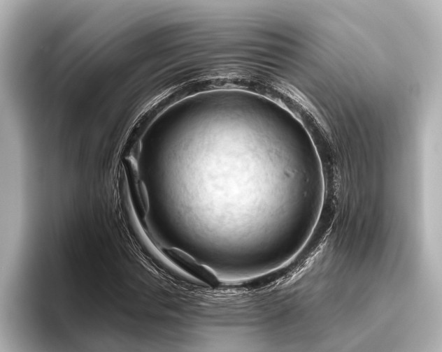 X0000096440826200801241357