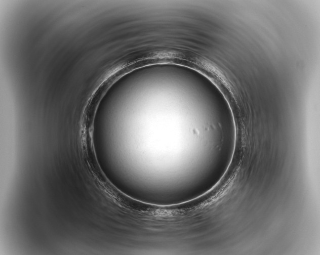 X0000096440827200801241357