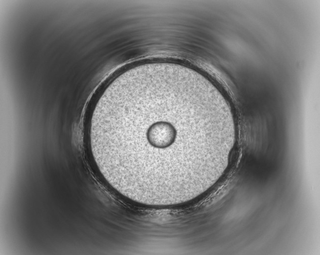 X0000096440828200801241357