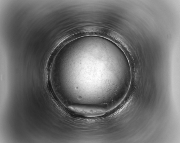 X0000096440829200801241357