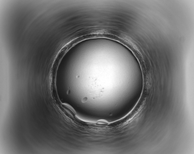 X0000096440831200801241357