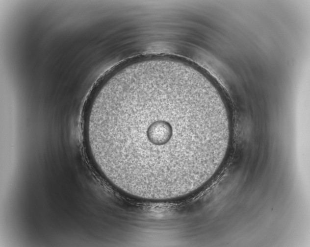 X0000096440832200801241357