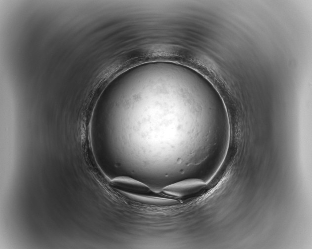 X0000096440833200801241357
