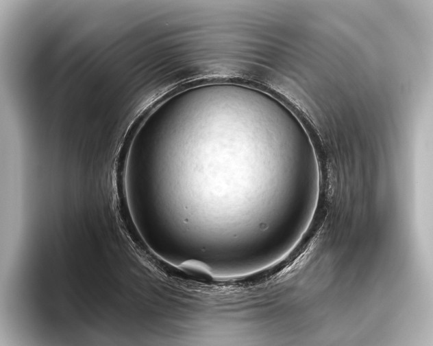 X0000096440834200801241357