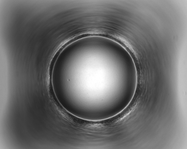 X0000096440837200801241357