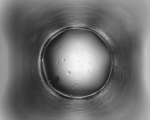 X0000096440840200801241357