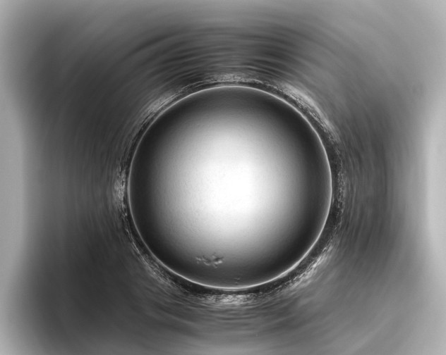 X0000096440841200801241357