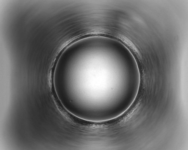 X0000096440842200801241357