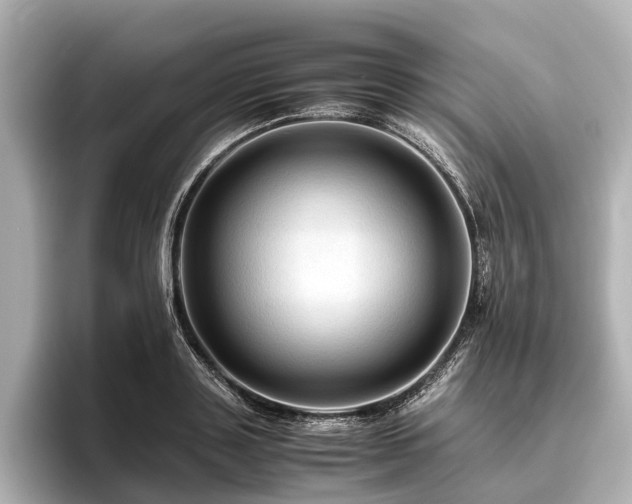 X0000096440843200801241357