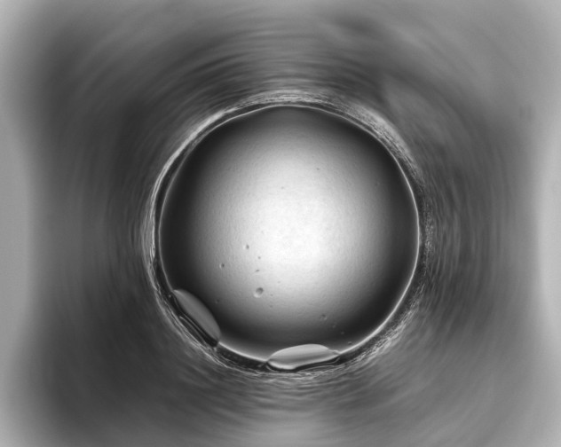X0000096440844200801241357