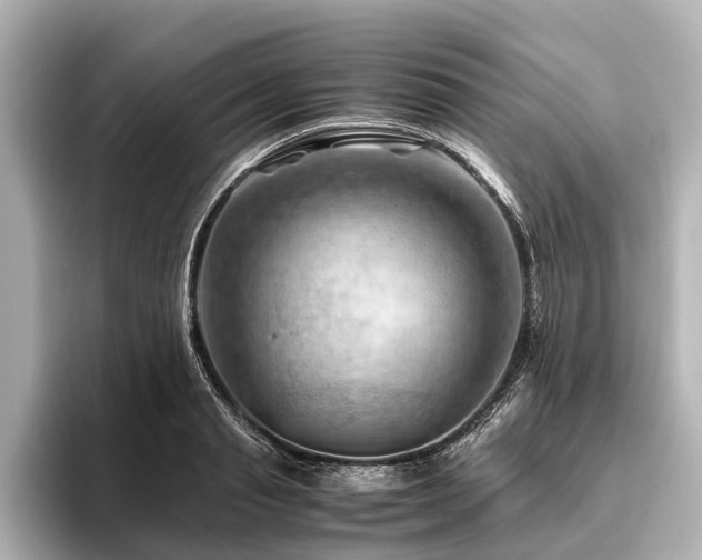 X0000096440845200801241357