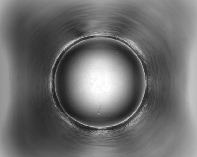 X0000096440846200801241357
