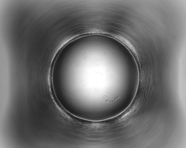 X0000096440847200801241357