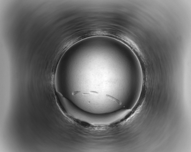 X0000096440849200801241357