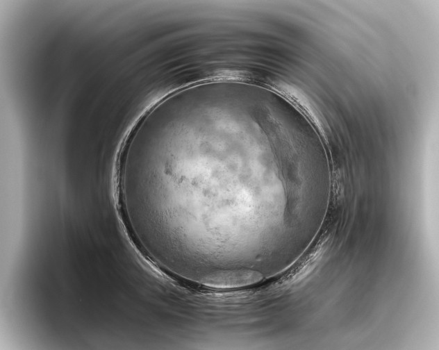 X0000096440851200801241357