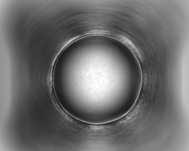 X0000096440852200801241357