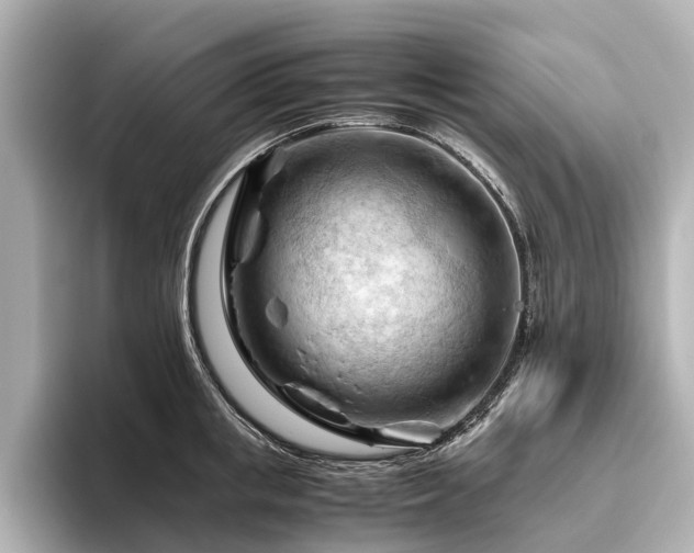 X0000096440853200801241357