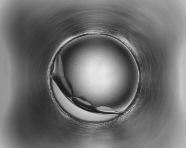 X0000096440854200801241357