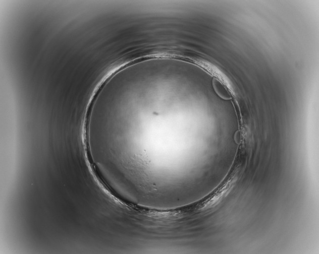X0000096440855200801241357