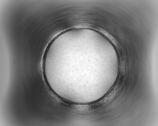 X0000096440856200801241357