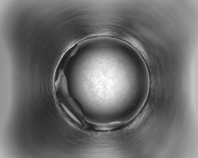 X0000096440858200801241357