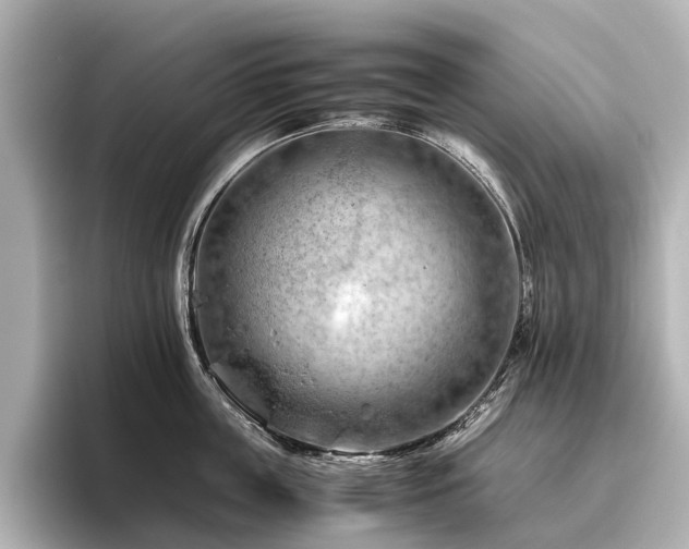 X0000096440859200801241357