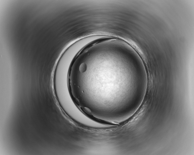 X0000096440862200801241357