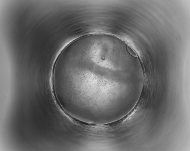 X0000096440863200801241357