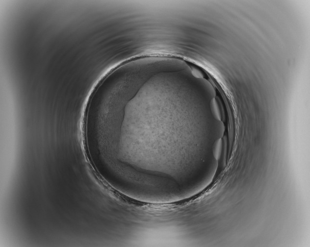 X0000096440864200801241357