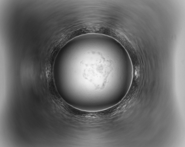 X0000096440867200801241356