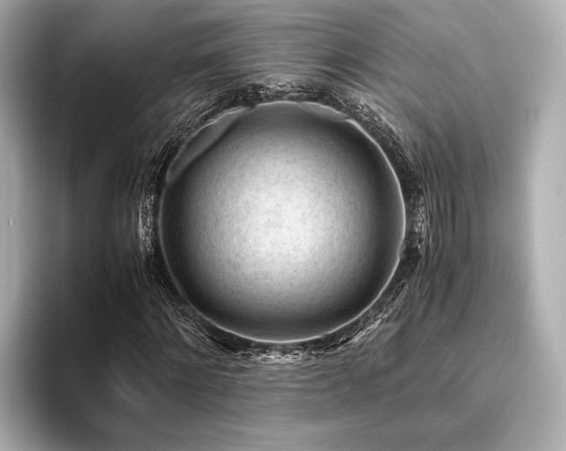 X0000096440868200801241356