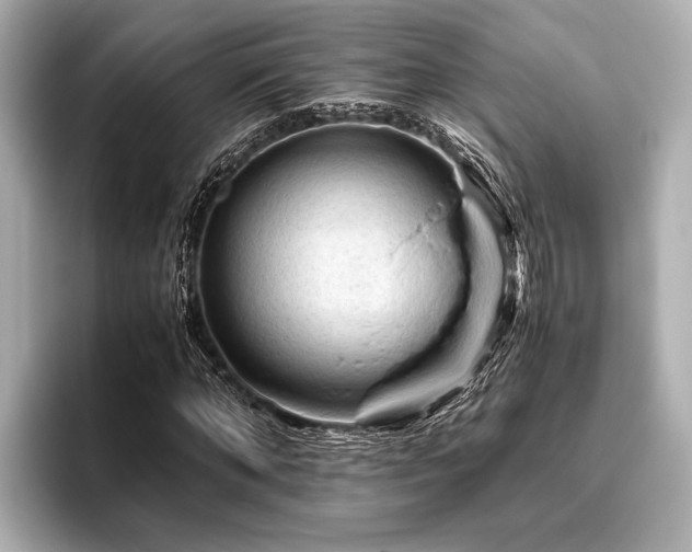 X0000096440870200801241356