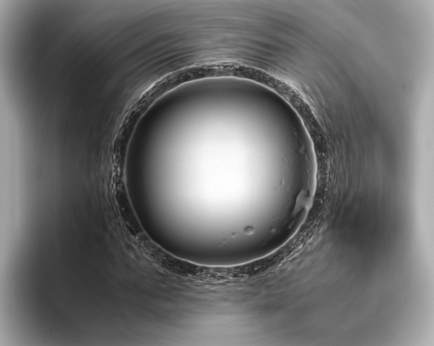 X0000096440871200801241356