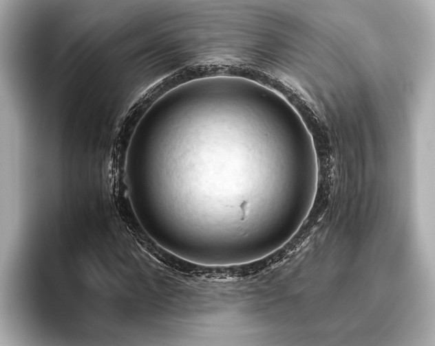 X0000096440872200801241356