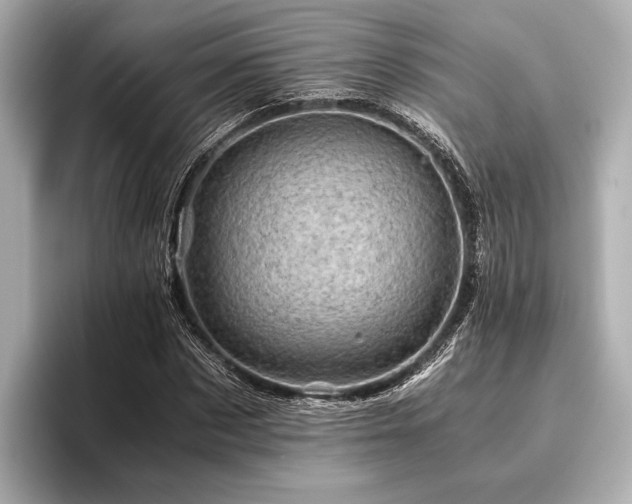 X0000096440873200801241356