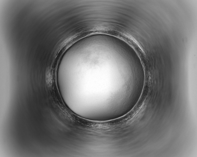 X0000096440874200801241356