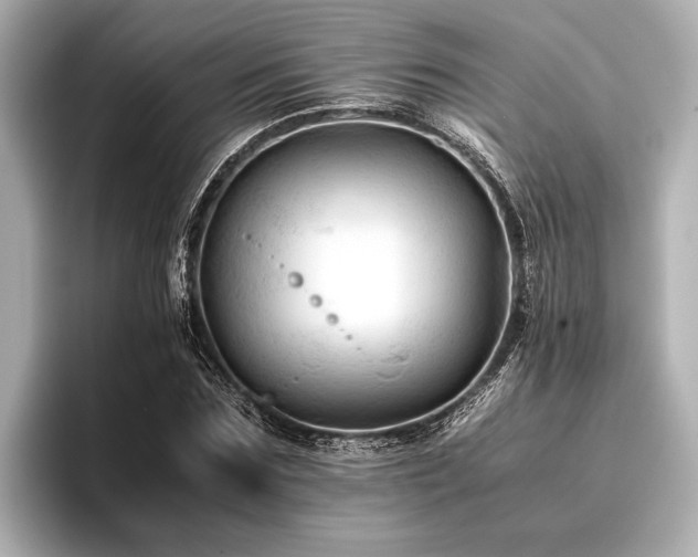X0000096440875200801241356