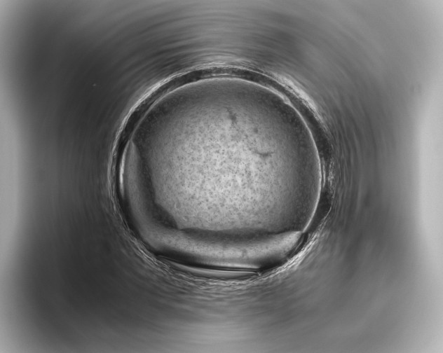 X0000096440877200801241356